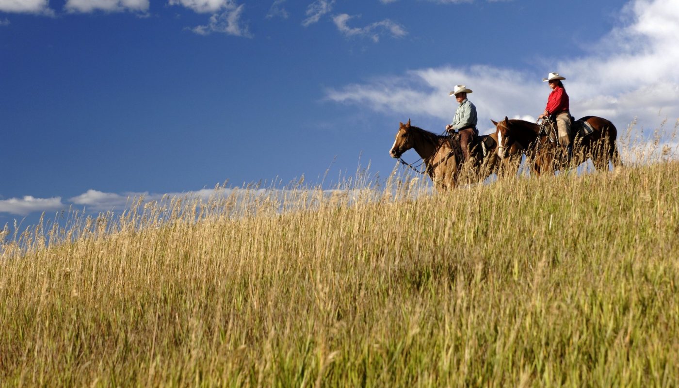 Marabou Ranch Horse Lifestyle