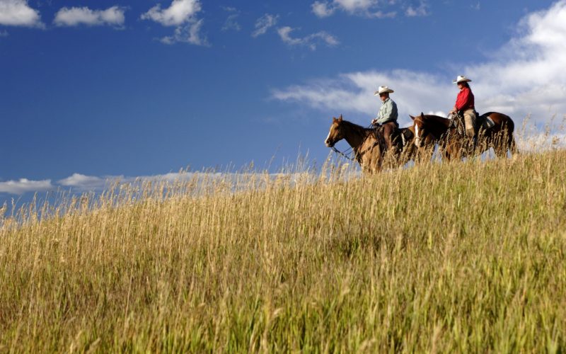 Marabou Ranch Horse Lifestyle