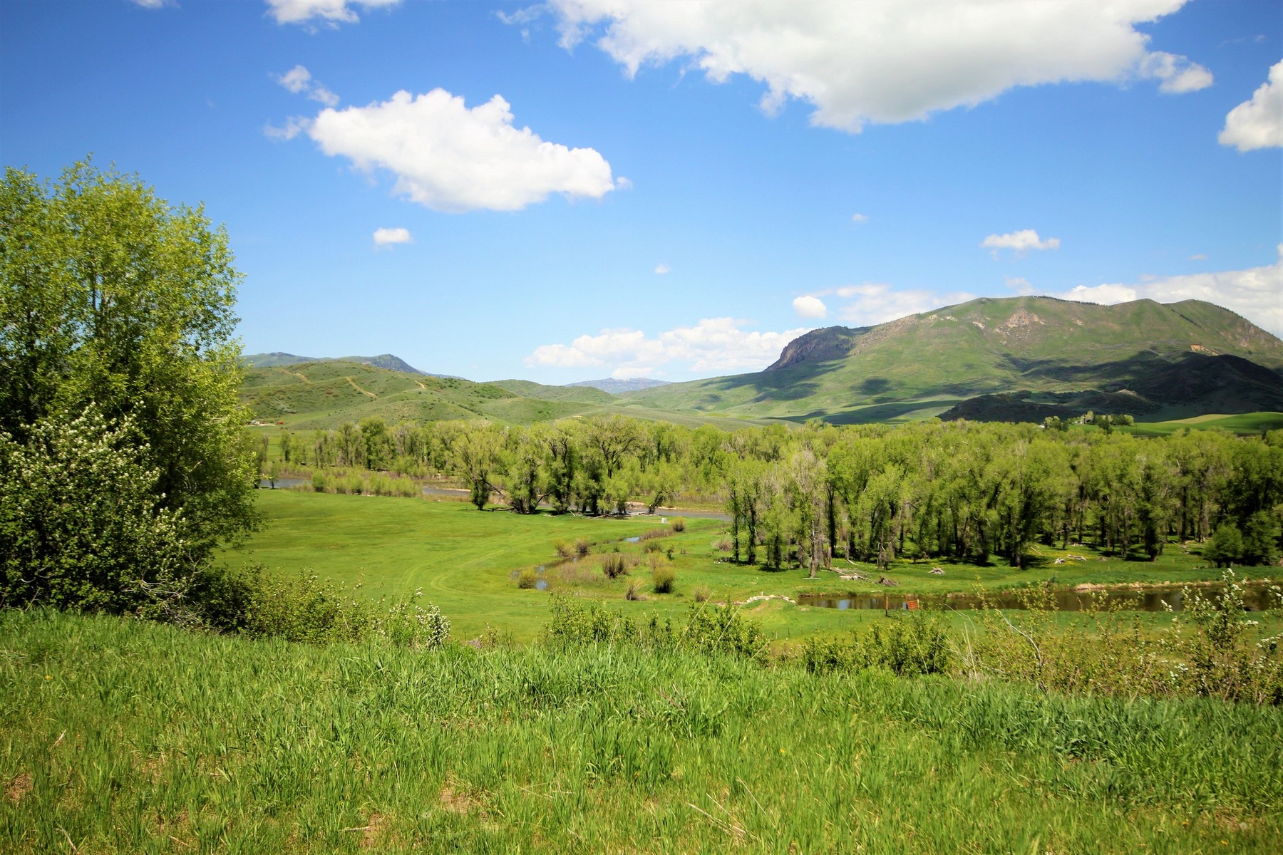 Marabou Ranch Homestead A1